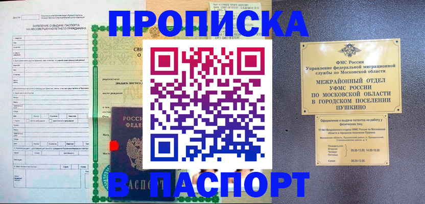 временная регистрация госуслуги в Ногинске